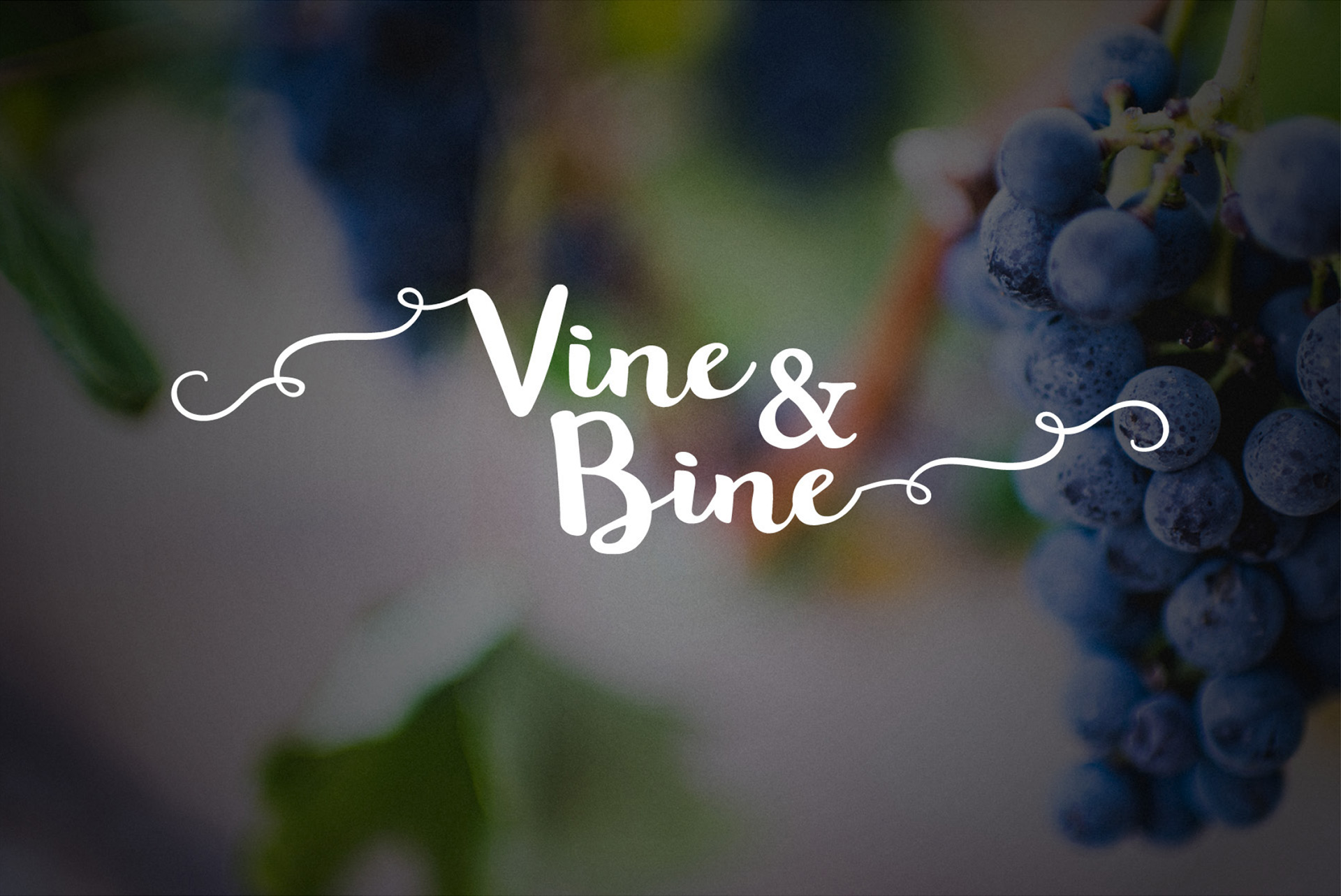 vine-bine-1